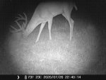 Buck2 F16 - 072620.JPG