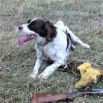 2nd resized Mick 2017 resting with bird and gun4 (1).jpg