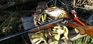 Tinker 10-27-20 second pheasant.JPG