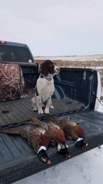 20201025_182208.jpg 20201025_182208.jpg