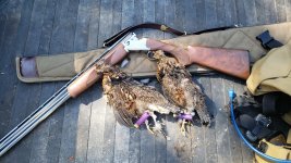 2grouse.jpg