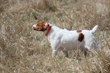 NSTRA Trial May 2015.jpg NSTRA Trial May 2015.jpg