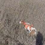 IMG_20161119_220208_zpsby9vhtgp.jpg IMG_20161119_220208_zpsby9vhtgp.jpg