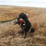 Repo phez portrait.jpg