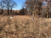 Lu and Scotty MO Nov 28 2020.jpg