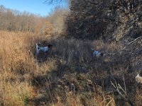 Lu Scotty Emmett Dec 1 2020 1.jpg