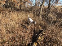 Emmet MO Dec 1 2020 1.jpg