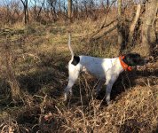 Scotty and Lu MO Dec 1 2020 1.jpg