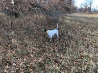 Emmett covey find Dec 1 2020 1.jpg