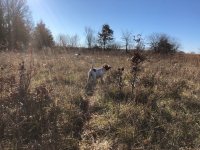 Scotty and Emmett pointing Dec 3 2020 1.jpg