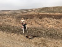 kepa 12 6 20 pic 2.jpg