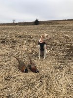 kepa 12 6 20 pic 3.jpg