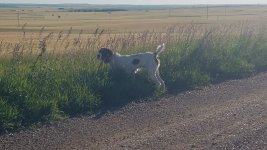 20200726_072717.jpg 20200726_072717.jpg