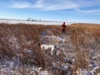 Emmett the old man pointing Kansas Day 1 cold Dec 16th.jpg