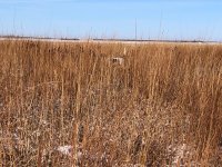 Lu pointing Kansas Day 2 Dec 17th 1.jpg