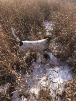 Emmet pointing Kansas day 3 Dec 18th 3.jpg