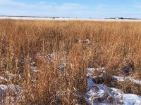 Lu pointing Kansas Day 2 Dec 17th 5.jpg
