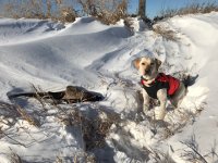 Back to my usual ways.jpg