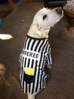rufferee.jpg