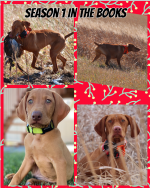 Screen Shot 2021-01-03 at 8.54.12 PM.png