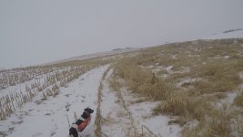 chloe pt 1 8 2021 flush.jpg