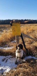 Gus with his GPA rooster 2020 SD.jpg