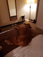 20210123_193711 (1).jpg