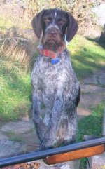 Tinker Best hunt tight  003ab.jpg