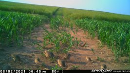 080221 - F1 - 11 ph.jpg