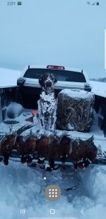 Screenshot_20191118-140103_One UI Home.jpg