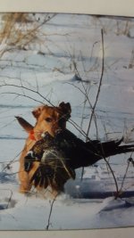 20190804_101515 - Copy.jpg