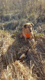 20191024_094422 - Copy.jpg