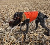 1000007691.jpg 1000007691.jpg