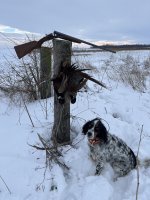 IMG_2903.jpeg IMG_2903.jpeg