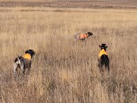 -6872887893959154607.jpg -6872887893959154607.jpg