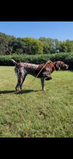 -4340696649768151208.jpg -4340696649768151208.jpg