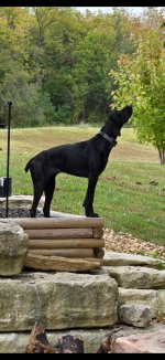 -4268814613012532035.jpg -4268814613012532035.jpg