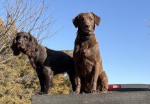 IMG_4536.jpeg IMG_4536.jpeg