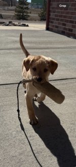 View recent photos.jpeg