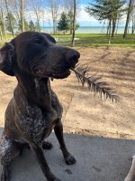 IMG_3139.jpeg IMG_3139.jpeg