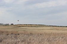 IMG_7507.JPG IMG_7507.JPG