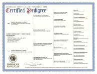 Turkey Creek Dusty II O'Dee Dream Catcher Rio AKC Pedigree.jpg