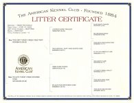 Litter Certificate_Pedigree.jpg