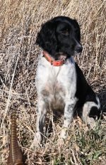 Screenshot 2025-06-16 185105.jpg