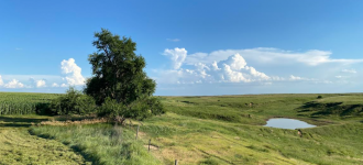 Screenshot 2025-07-13 123739.png