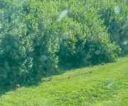 Screenshot 2025-07-22 195212.png