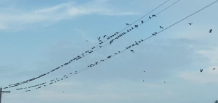 Screenshot 2025-08-27 212741.png