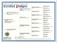 HPKs Templeton Rye Capone.jpg