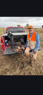 Screenshot  11-1 roosters.jpg