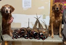 IMG_20251104_144917(1).jpg IMG_20251104_144917(1).jpg